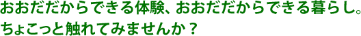 ���ߥ�˥ƥ�01